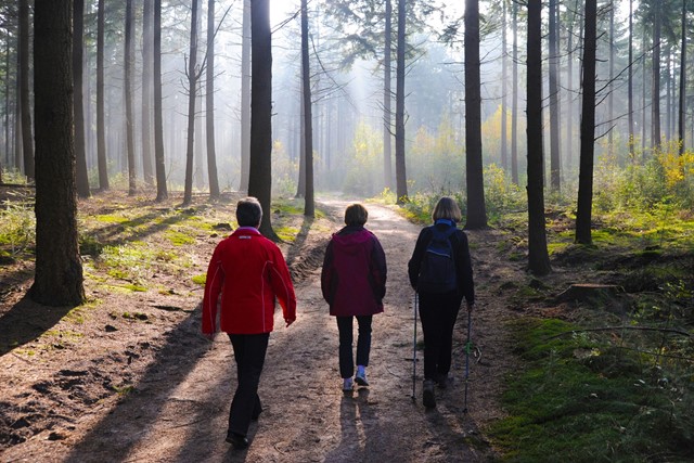 Austerlitz en Lage Vuursche