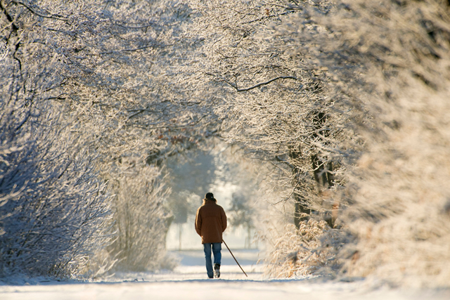 Ontdek Deze Winter Het Andere Friesland