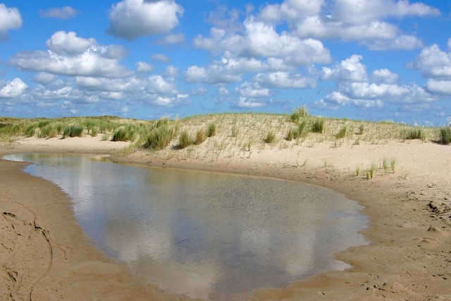 afbeelding van een plas water in de duinen.
