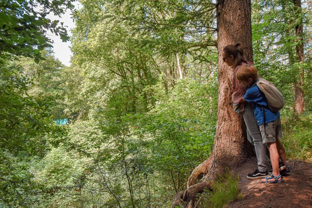 moeder en zoon staan in het bos op de uitkijk bij een boom