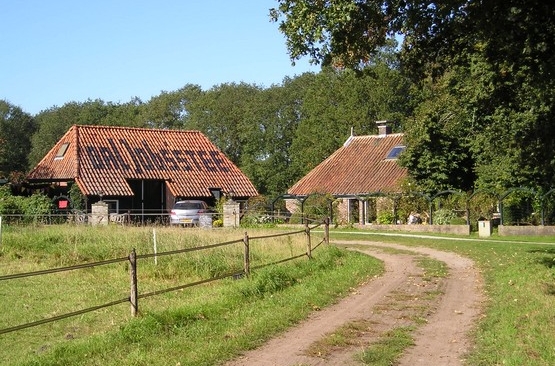 Header | De Hondsrug