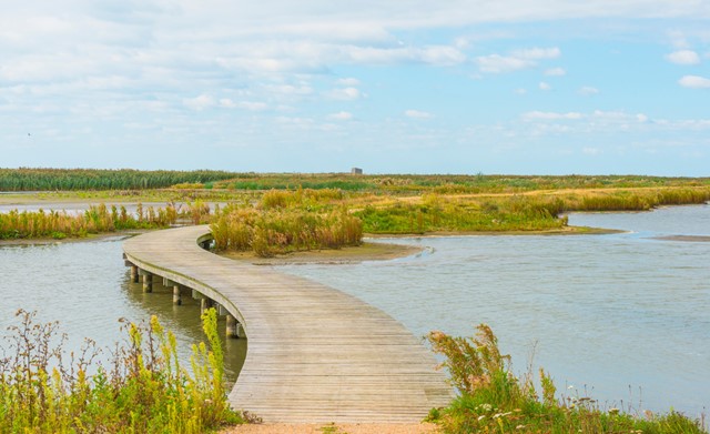 afbeelding van een vlonderpad op de Marker Wadden