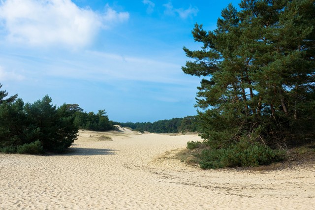 Hulshorsterzand.