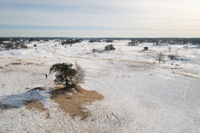Wandelen in de IJstijd Kootwijkerzand