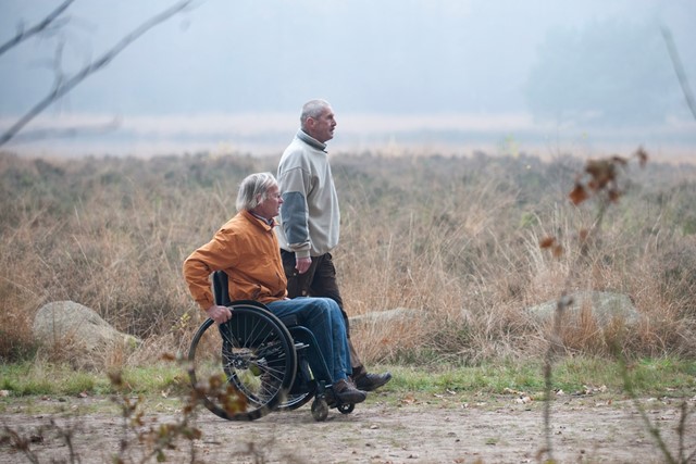 twee mannen wandelen door heidelandschap op het Westerborkpad, één in een rolstoel.
