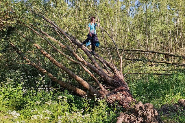 Afbeelding van Agnes op een omgevallen boom.