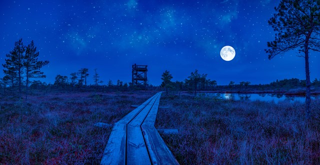 Afbeelding mysterieuze natuur