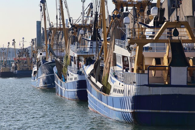visserboten in Scheveningen