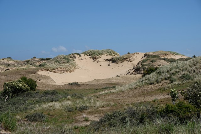 afbeelding van de duinen met een blauwe lucht.