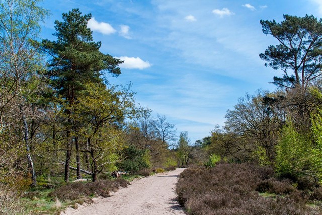 Wandelvakantie Utrecht mooiste wandelreizen Nederland