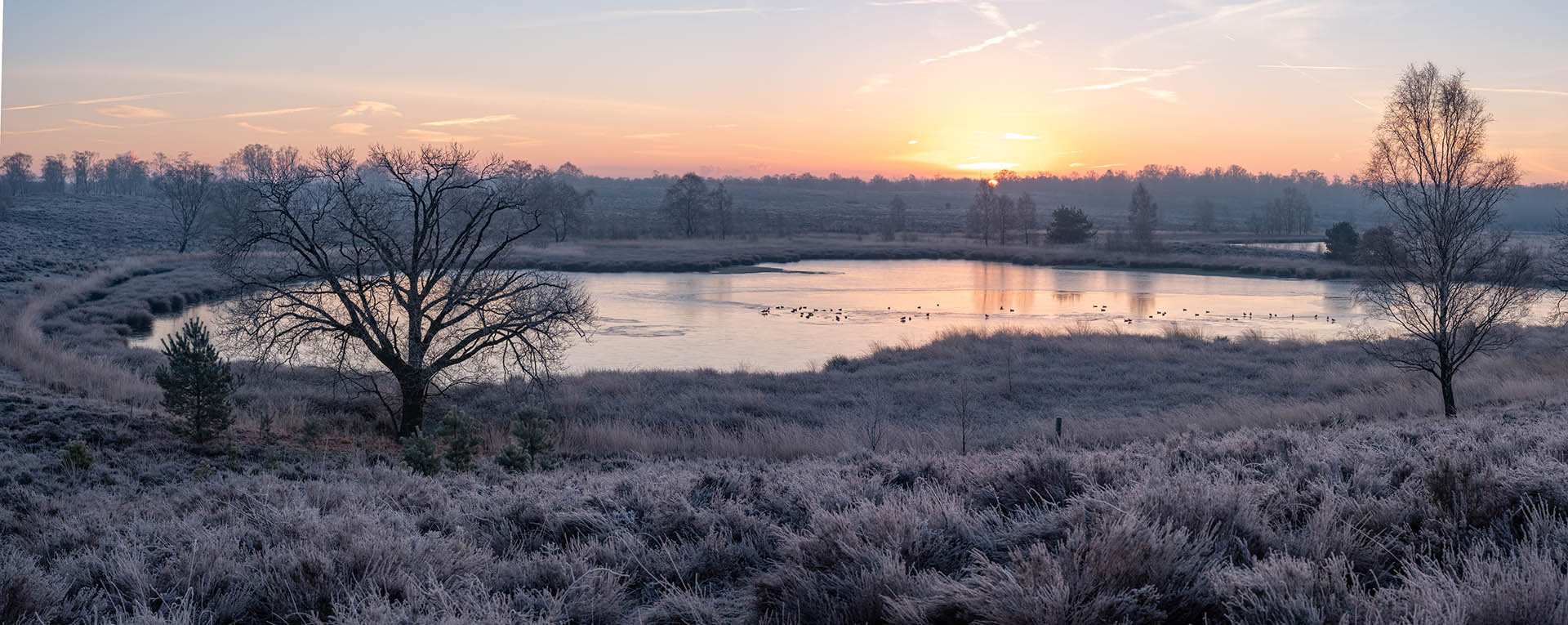 Wandelen in de ijstijd Landgoed De Hamert