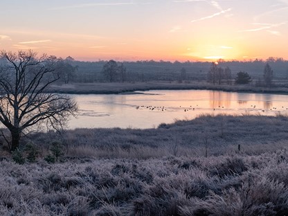 Wandelen in de ijstijd Landgoed De Hamert