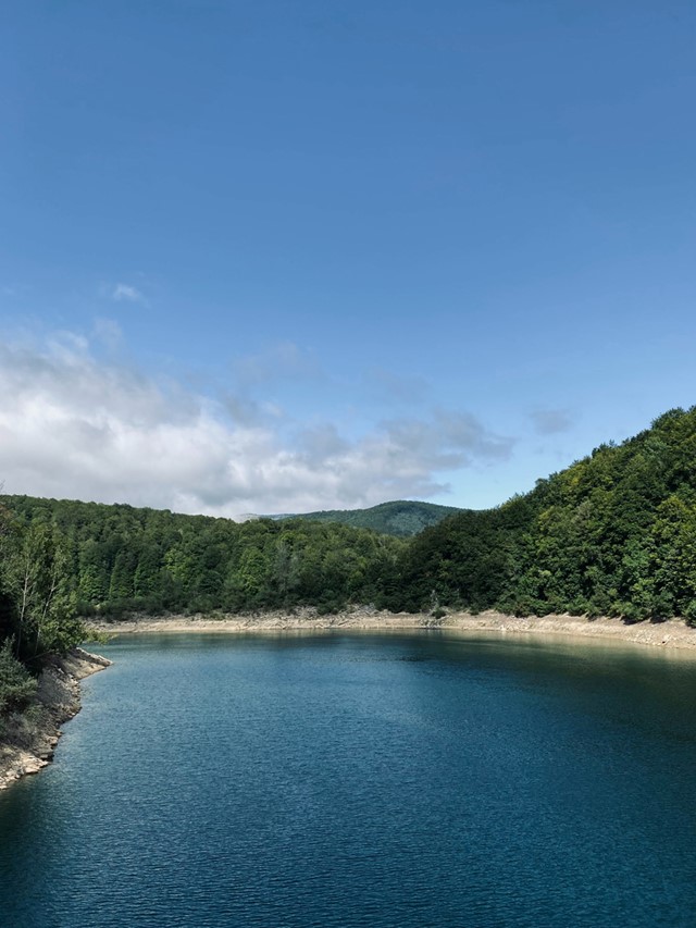 afbeelding van een meer en bossen in Selva de Irati.