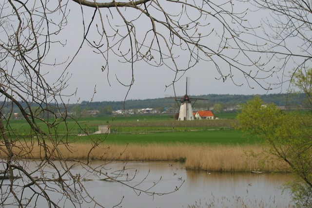 de witte molen De Marsch in een landschap van gras en een rivier.