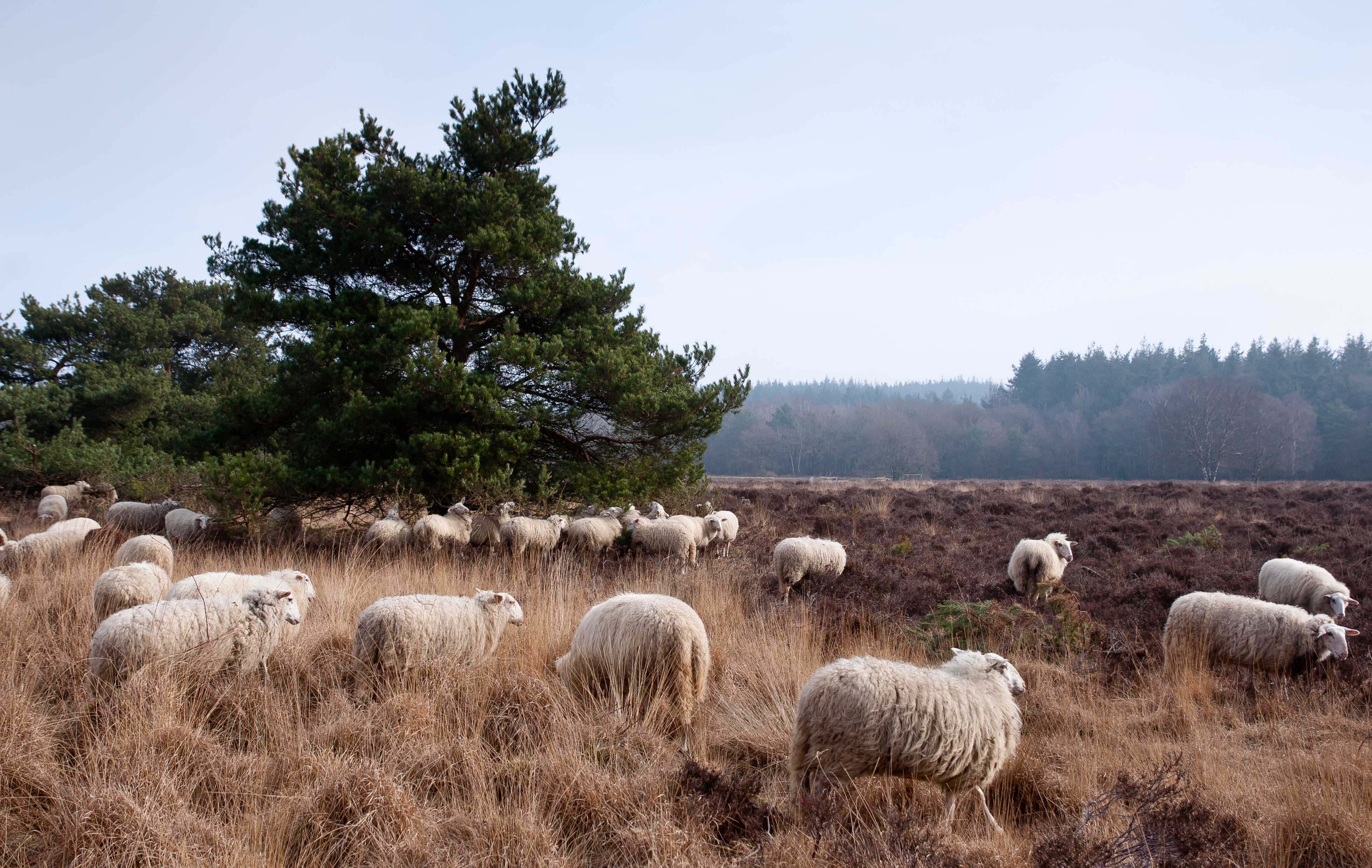 Header | /routes-overijssel