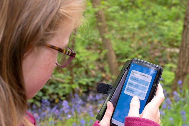 meisje kijkt op haar mobiele telefoon in het bos met wilde hyacinten op de achtergrond.
