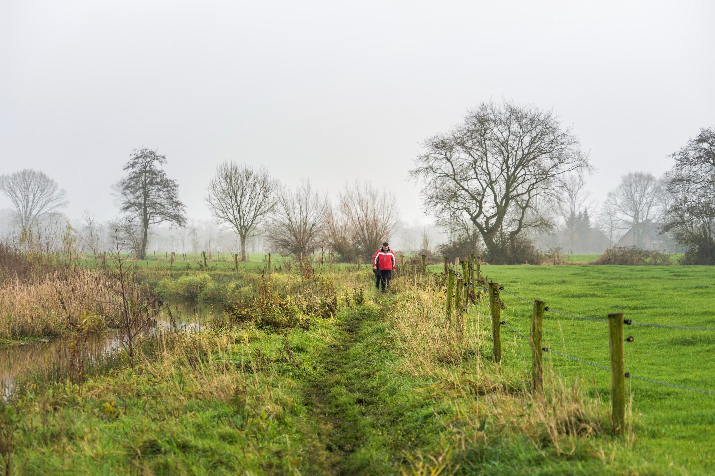 Groen wandelpad met aan de rechterkant een weiland