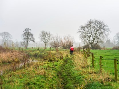 Groen wandelpad met aan de rechterkant een weiland