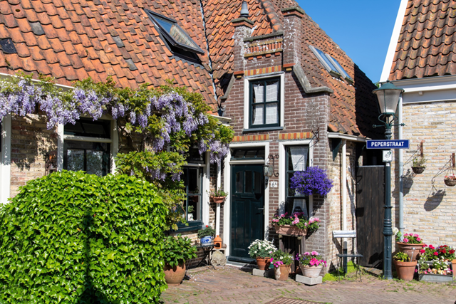 Artikel Texel Q3 1 (1)