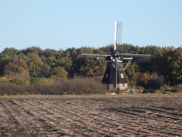 molen 