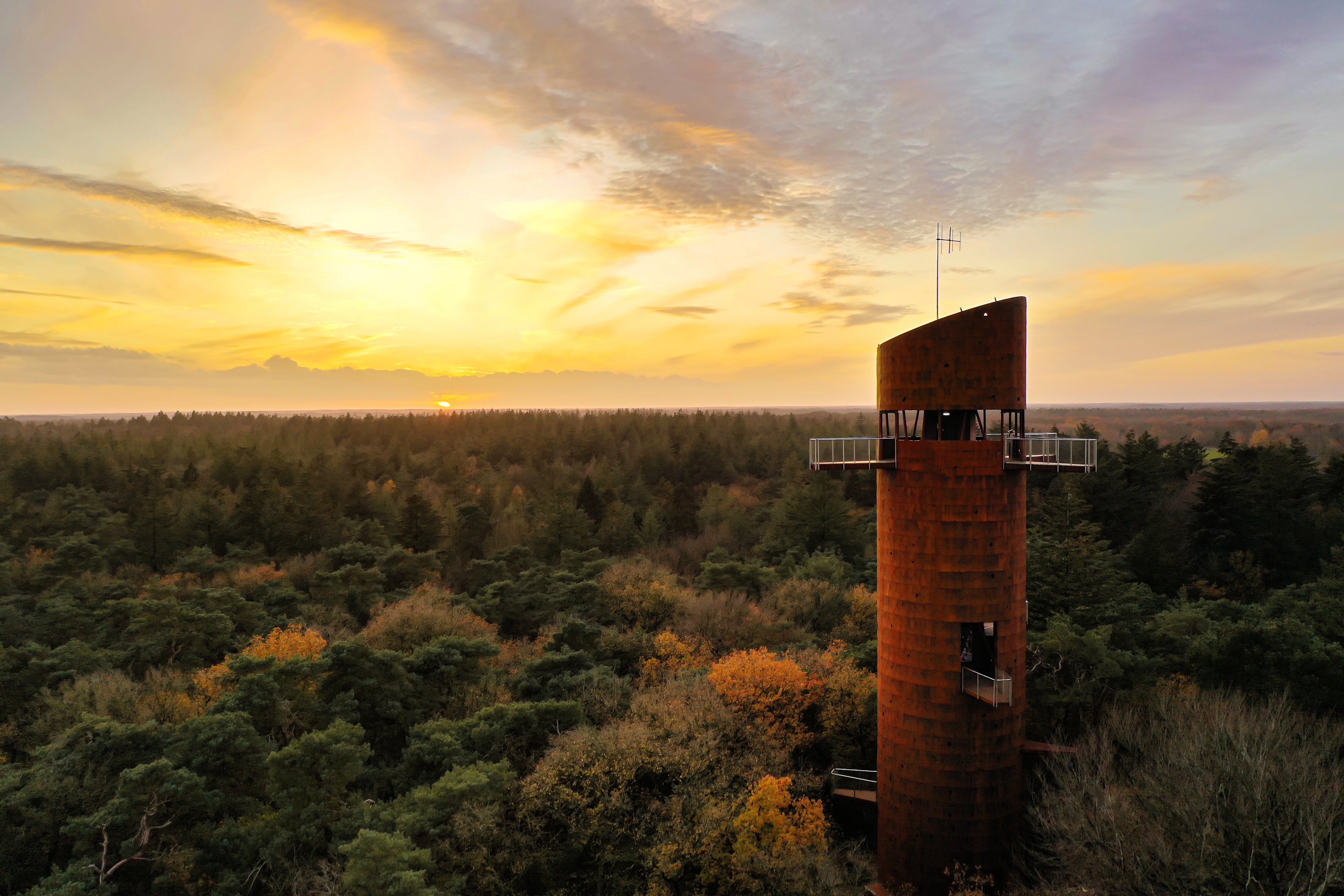 Aerial view van de Bosbergtoren bij Appelscha