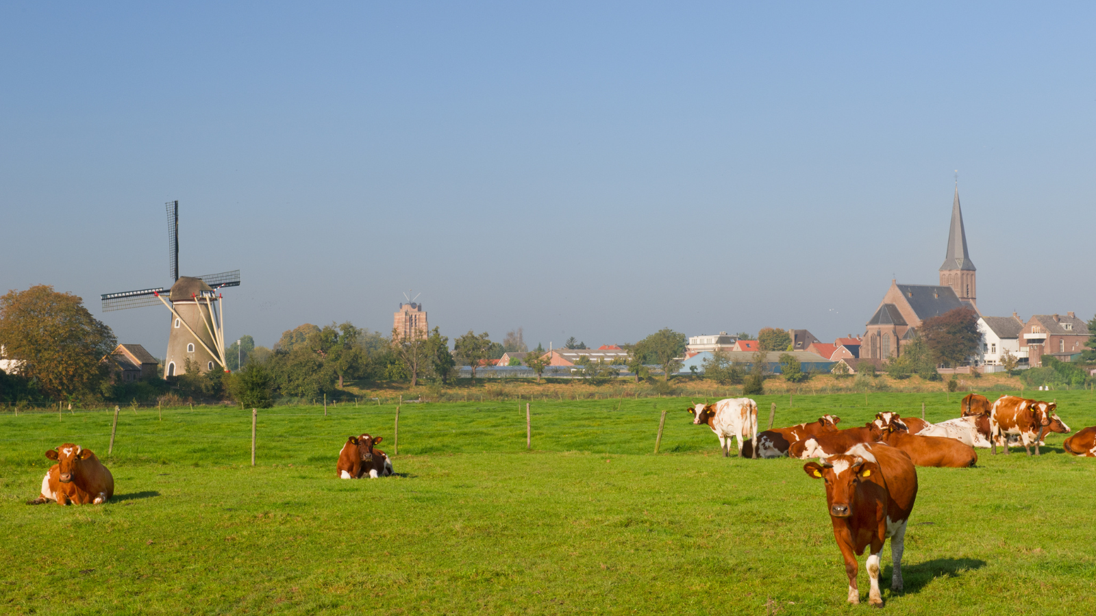 Wandelen Over Nederlandse Landgoederen