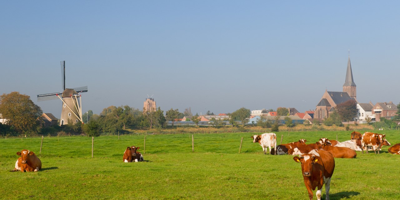 Wandelen Over Nederlandse Landgoederen