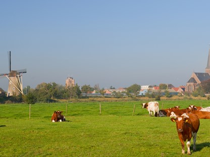 Wandelen Over Nederlandse Landgoederen