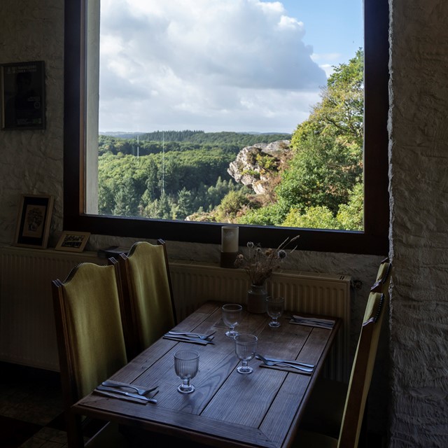 Uitzicht op rotsachtige bossen vanuit een restaurant.