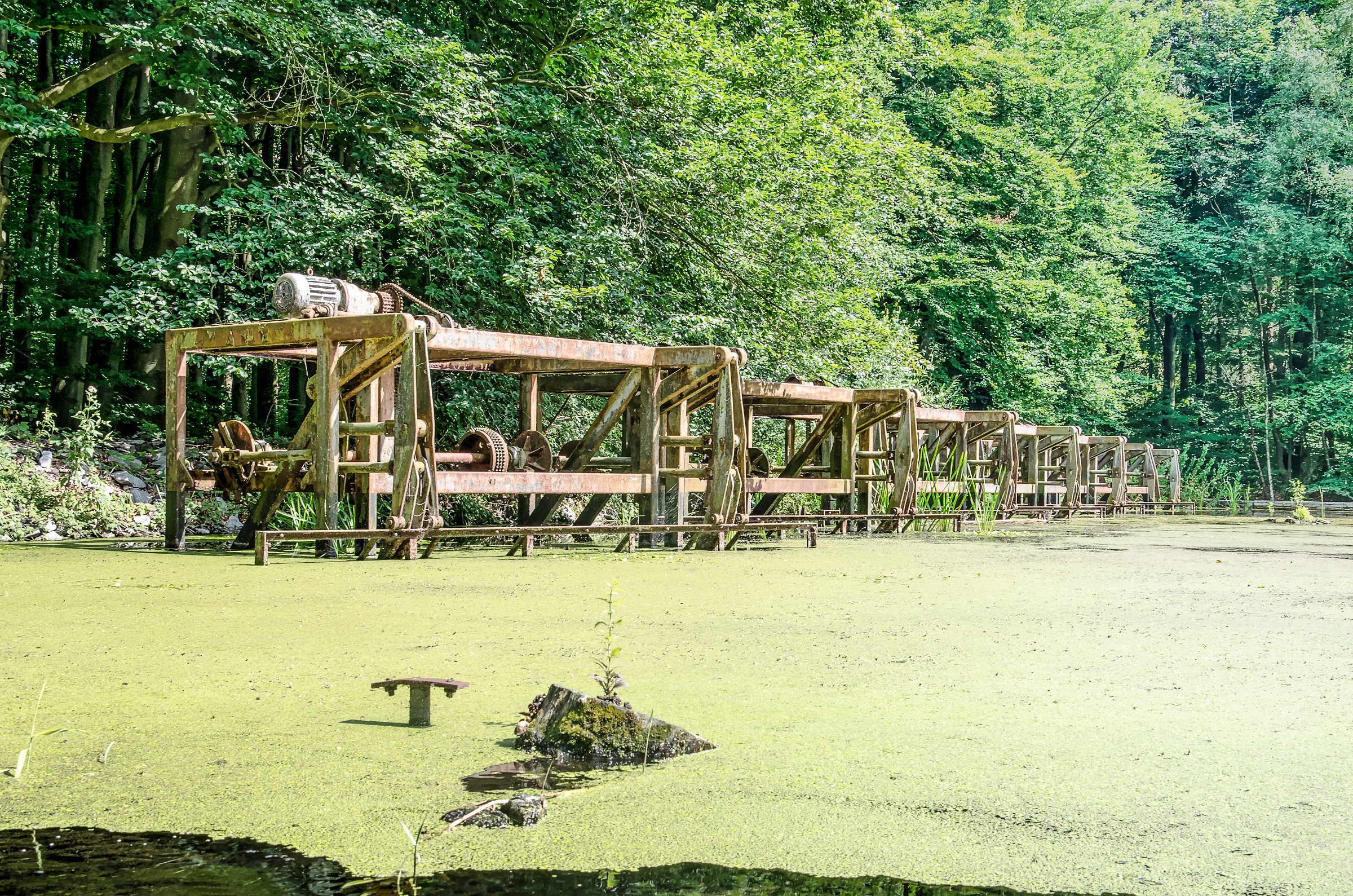 Waterloopbos in de Noordoostpolder