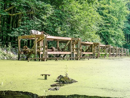 Waterloopbos in de Noordoostpolder