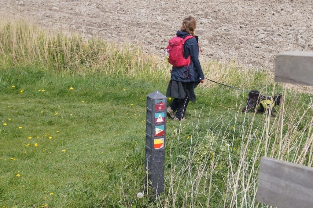 Marleen Veenstra loopt samen met haar hondje Nori het Elfstedenpad