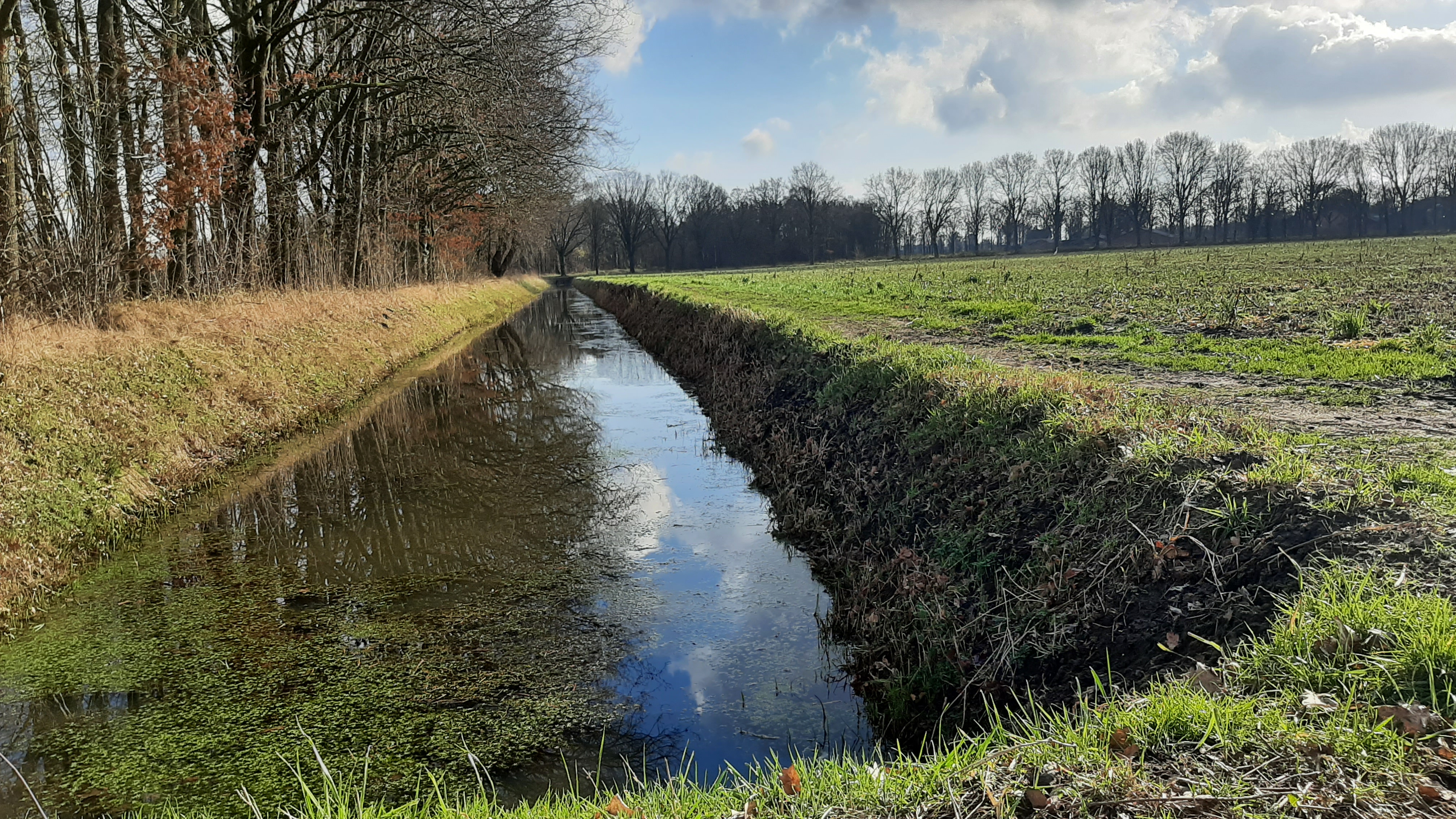 Het buitengebied van Asten 