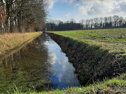Het buitengebied van Asten