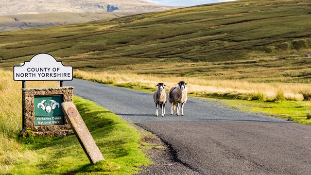 Nationaal Park Yorkshire Dales