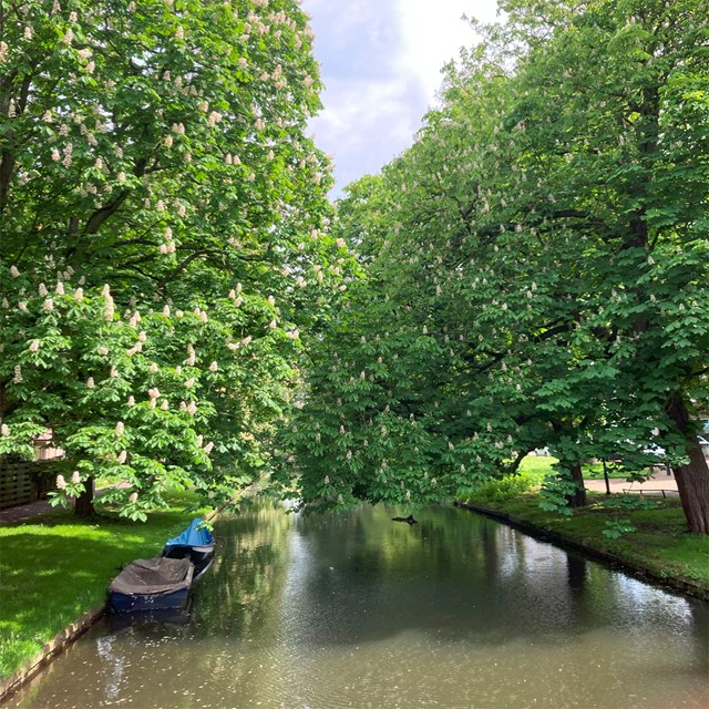gracht met boodjes en bomen.