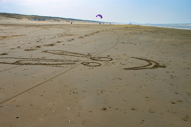 afbeelding van het strand en de zee.