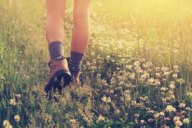 Wandelen En Wetenschap Dit Zijn De Feiten; Grasveld zaadjes