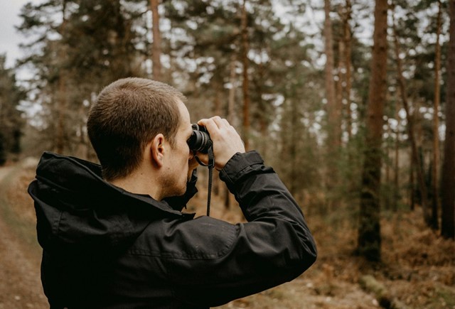 Vogels spotten (Foto: © Annie Spratt / Unsplash)