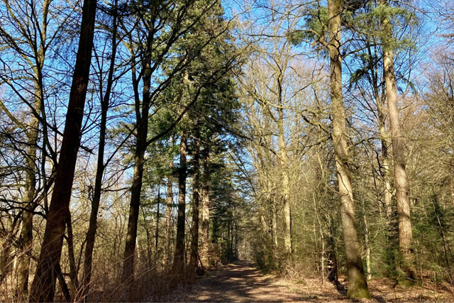 Pieterpad Etappe 15 Zelhem Het Onland En De Oude IJssel