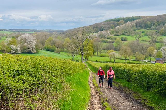 Proef de lente tijdens deze 8 gezellige wandelevenementen; Bloesem2Daagse in Banholt