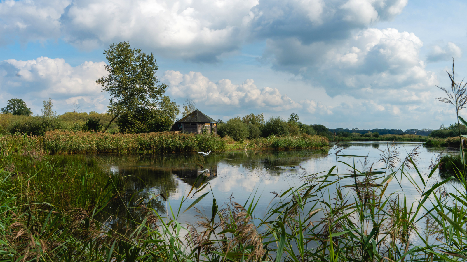 Wandelroute Belgie, Belgisch Limburg Kempenbroek