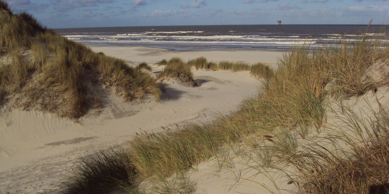 Wandelroutes Ameland (5)