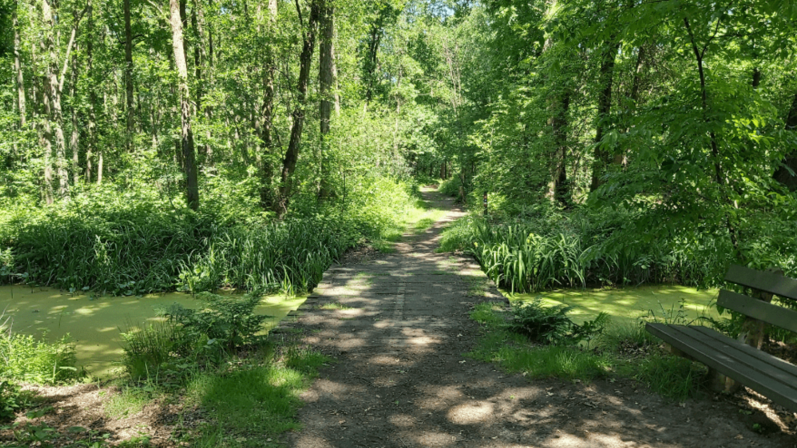 Wandelroute Het Schuitwater Broekhuizermolenbeek
