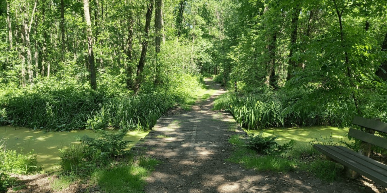 Wandelroute Het Schuitwater Broekhuizermolenbeek
