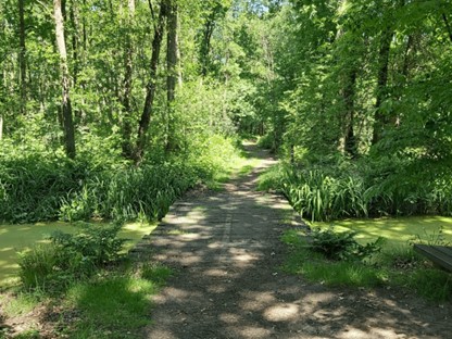 Wandelroute Het Schuitwater Broekhuizermolenbeek