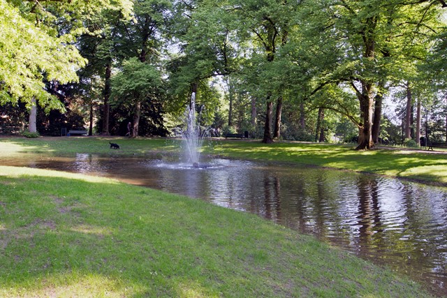 afbeelding van een fontein in het park.
