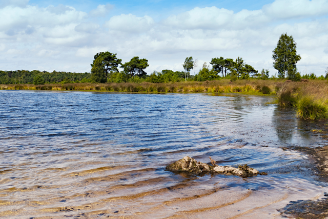 Wandelroute Kalmthoutse Heide Wandelpad Duin Hazenmeer