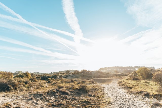Duinen bij Zandvoort, Foto: @Mascha Wandeldingen.nl