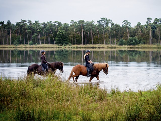 afbeelding van ruiters in het Ossengoor.